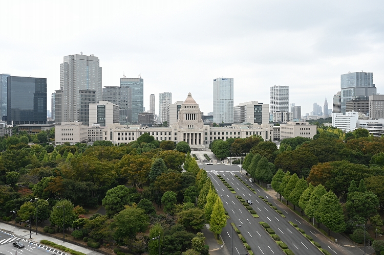 霞ヶ関から見た議事堂