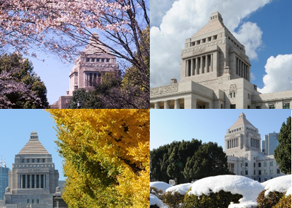 「ようこそ参議院へ」ビデオ作品の写真