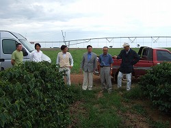 セラード農業開発事業(ブラジル)(平成21年10月10~23日)の写真 クリックすると拡大写真がご覧いただけます