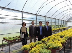 国立農牧技術院(INTA)花卉研究所を視察(アルゼンチン)(平成27年10月21日~10月30日)の写真 クリックすると拡大写真がご覧いただけます
